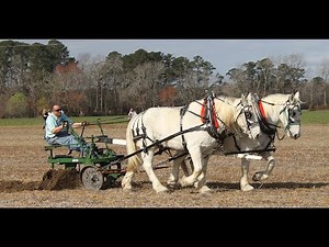 North Carolina Plow Day 2022