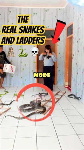 They played with REAL giant snakes?! 😱 (@kangden_kebonreptile/ig) #shorts #usa
