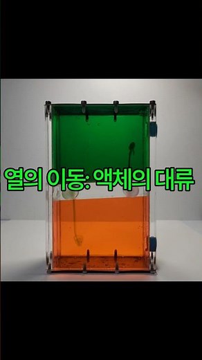 열의 이동: 액체의 대류 2 #thesciencelab
