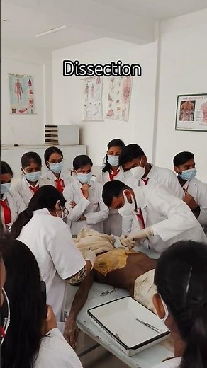 Dissection Of Female Cadaver #viral #dissection #trending #cadáver