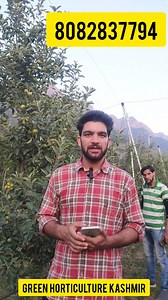 6.3K views · 205 reactions | Green Horticulture Kashmir is going to conduct awerness camp's regarding the summer pruning in HDP orchards across kashmir valley..Farmers who are intrested in organising the camp's in their own orchards they may contact on 8082837794 for booking the visit's | Green Horticulture Kashmir | Facebook