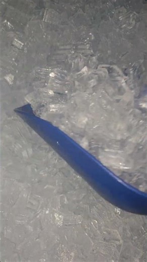 Ice Cube Cracks ASMR ❄️ So Satisfying & Crisp. #relax #asmr #IceCubes #bestasmrsea