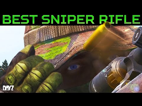 The Best Sniper Rifle in DayZ (Statistically)