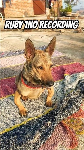 ruby short 30/1No recording #minishort #subscribemychannel