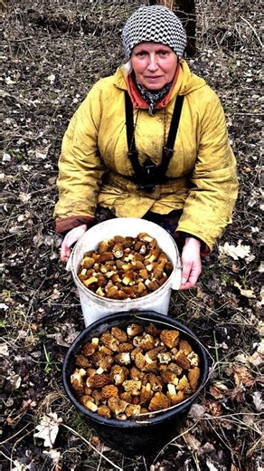 Morel mushrooms are here! Spring forest treasure hunt 🌿🍄