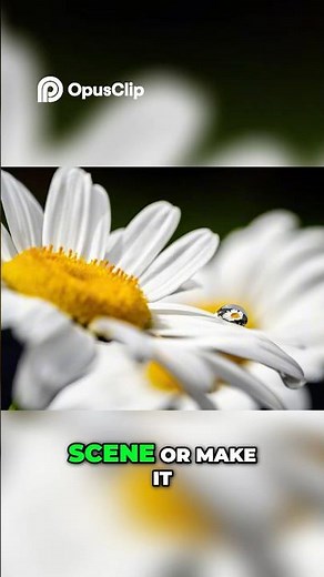 Aperture Explained Control Light & Mood in Photos!