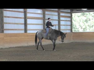 AQHA Western Pleasure Training1