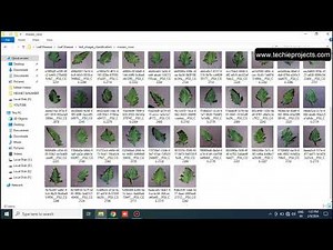 Plant Leaf Disease Detection using CNN | Machine Learning Projects