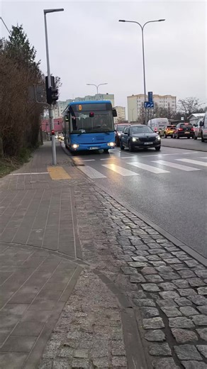 jakiś Iris bus