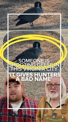 "GIVES HUNTERS A BAD NAME:" Someone is doing the unthinkable to geese in one Virginia city. Do you have information that could help police catch the culprit? https://www.wtvr.com/news/local-news/shooting-geese-colonial-heights-jan-24-2025 | WTVR CBS 6 News