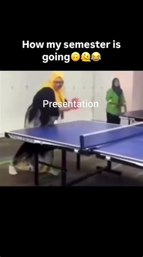 My semester 🤣🤣 #code #codeblocks #funny #memes #pythonanddjangofullstackwebdeveloper #javascript
