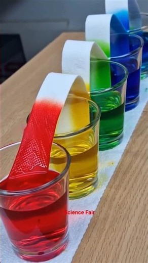 Colour magic ! 🤯 #ScienceeFair #shorts #magic #experiment #diy #homescience #treanding #viral