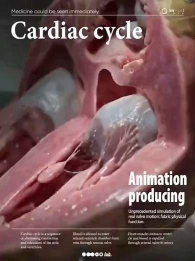 290K views · 150 reactions | 變AMAZING animation of the cardiac cycle,...