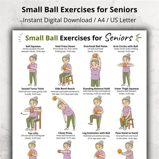 Small Ball Exercises for Seniors Printable, Seated and Standing Ball Exercises at Home, Chair Exercises With Ball, Home Ball Workout Poster - Etsy