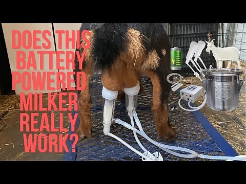 Does This Battery Powered Goat Milker Work?