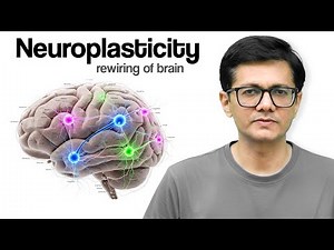 Neuroplasticity - the rewiring of brain