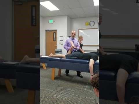 Lower Extremity- Hibb's, Ely's, Nachla's, and Yeoman's Ortho Tests