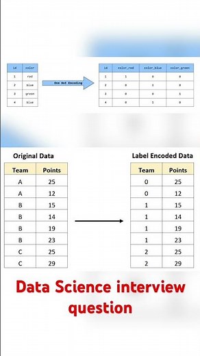 What is the difference between one hot encoding vs label encoding | #interviewquestions #datascience