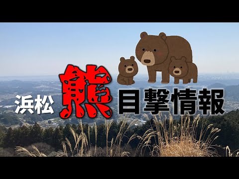 【11月に急増】 浜松・熊？目撃情報2025