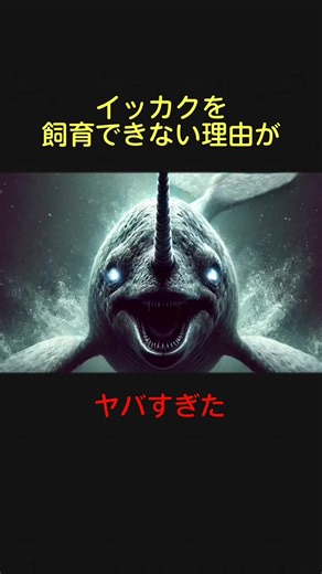イッカクを飼育できない理由がヤバすぎた#動物 #雑学 #イッカク