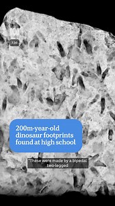 28K views · 448 reactions | 200-million-year-old dinosaur footprints sat at the entrance of a rural school, with neither teachers nor pupils aware of their significance until an expert was called in. : Tom Hartley reporting for 7.30 : Get the latest from ABC Science straight to your inbox: https://ab.co/ABCScienceNewsletter #Science #Dinosaur #Footprints | ABC Science | Facebook