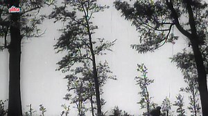 Manna Dey with Lata Mangeshkar from Parvarish (1958) | Dhun