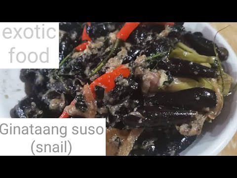 How to cook exotic food Suso (snail ) With coconut milk | Ginataang suso | margauxlifeph