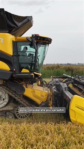 Barra a tappeti o barra a coclee? Ecco le principali differenze🚜 #agricoltura #trattori