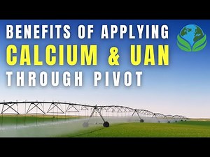 Benefits of applying liquid calcium and UAN through pivot