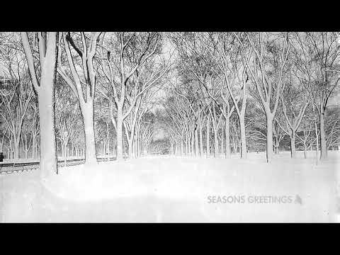 Adult Swim December 2010 Bump: Seasons Greetings Forest