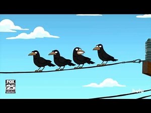 Crows "Full Of Corn"