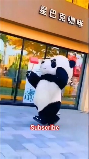 panda running cute moments/#shorts #viral
