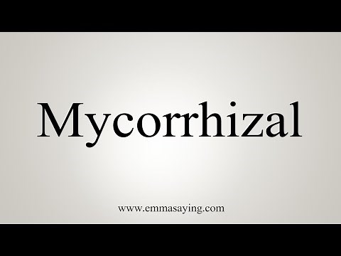 How To Say Mycorrhizal