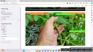 Streamlit Web App for Custom Machine Learning projects