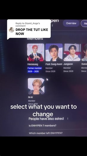 Replying to @Stamii_Ange hope it helps and idk if it works on computer only srry🙏🏻🧡 #BRINGHEESEUNGBACK