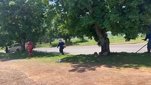 17K views · 1.5K reactions | The first time I shed a tear as mayor...