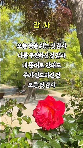 감 사 Thanks #지선 #찬양 #복음성가