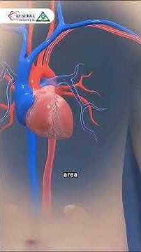 Heart Blockage? Here’s How Modern Medicine Fixes It