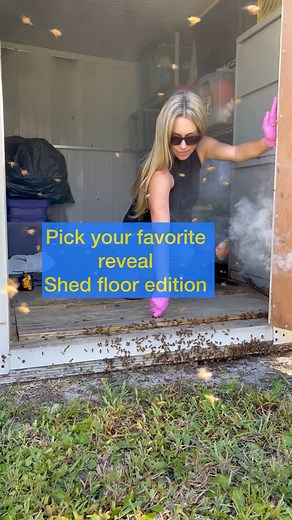 What’s your favorite shed floor bee removal? | How’s Your Day Honey
