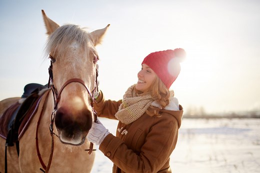 Do Horses Get Cold? Here's How to Keep Your Horse Safe This Winter