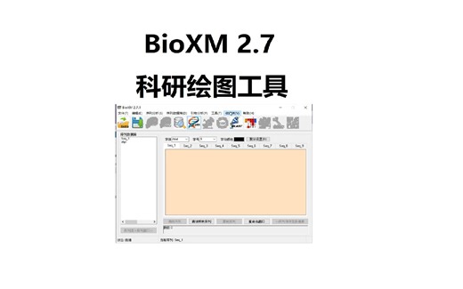 BioXM 2.7 中文版 分析基因序列工具 安装包一键安装下载教程,小白快速学会