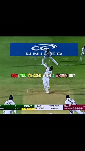 Never messed with starc☠️#cricket shorts