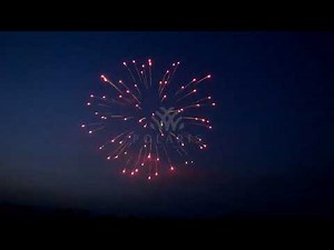 2.5inch red chrysanthemum