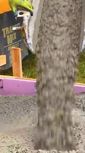 Pouring a Concrete Slab #concrete #pouringconcrete #concretepouring | Out of the Woods Forestry