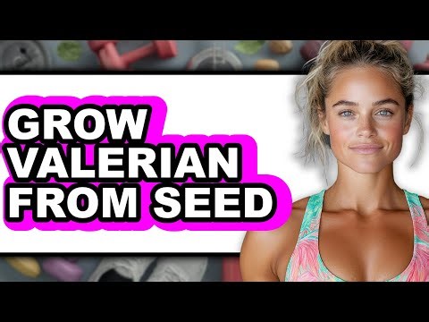 How to Grow Valerian from Seed - Full Guide