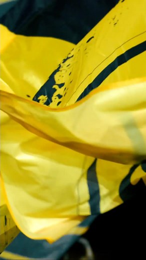 Exciting Borussia Dortmund Matchday in Bundesliga