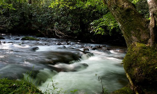 DIY Guide to Fly Fishing the Oconaluftee River in Great Smoky Mountain National Park | DIY Fly Fishing