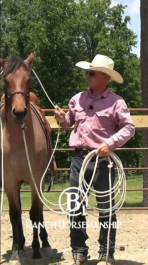 From the collection: How To Start a Rope Horse Day 2