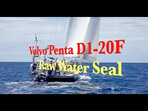 D1 20 Volvo Penta Raw Water Pump Seal
