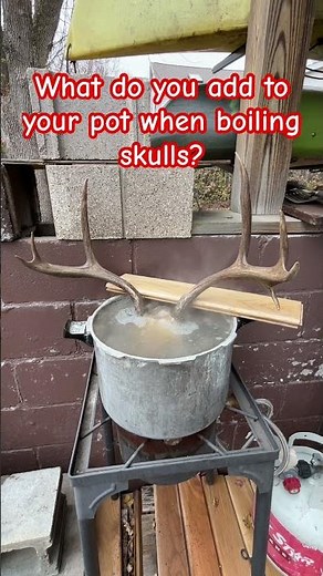 Boiling my mule deer skull for a Euro mount! #hunting #deer #boiling #outdoorwork